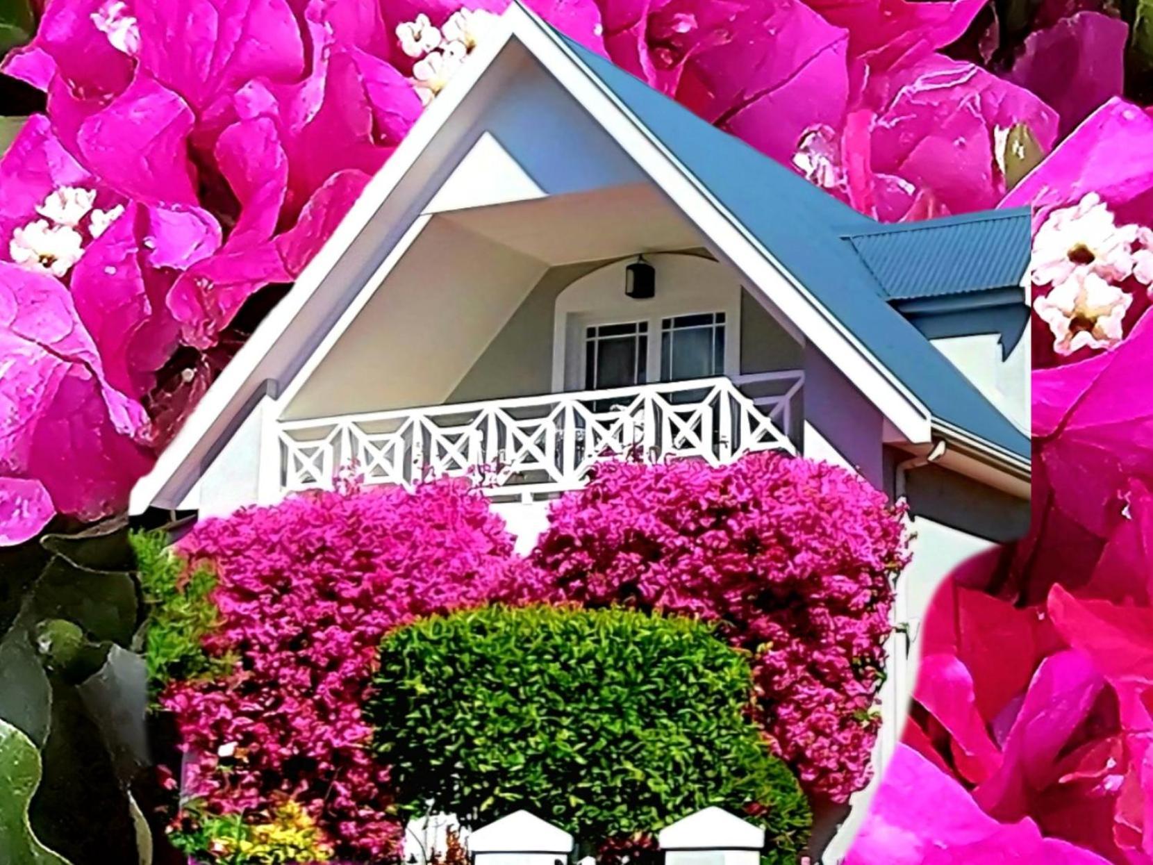 Fleur Du Soleil Luxury Guesthouse Франсхук Экстерьер фото