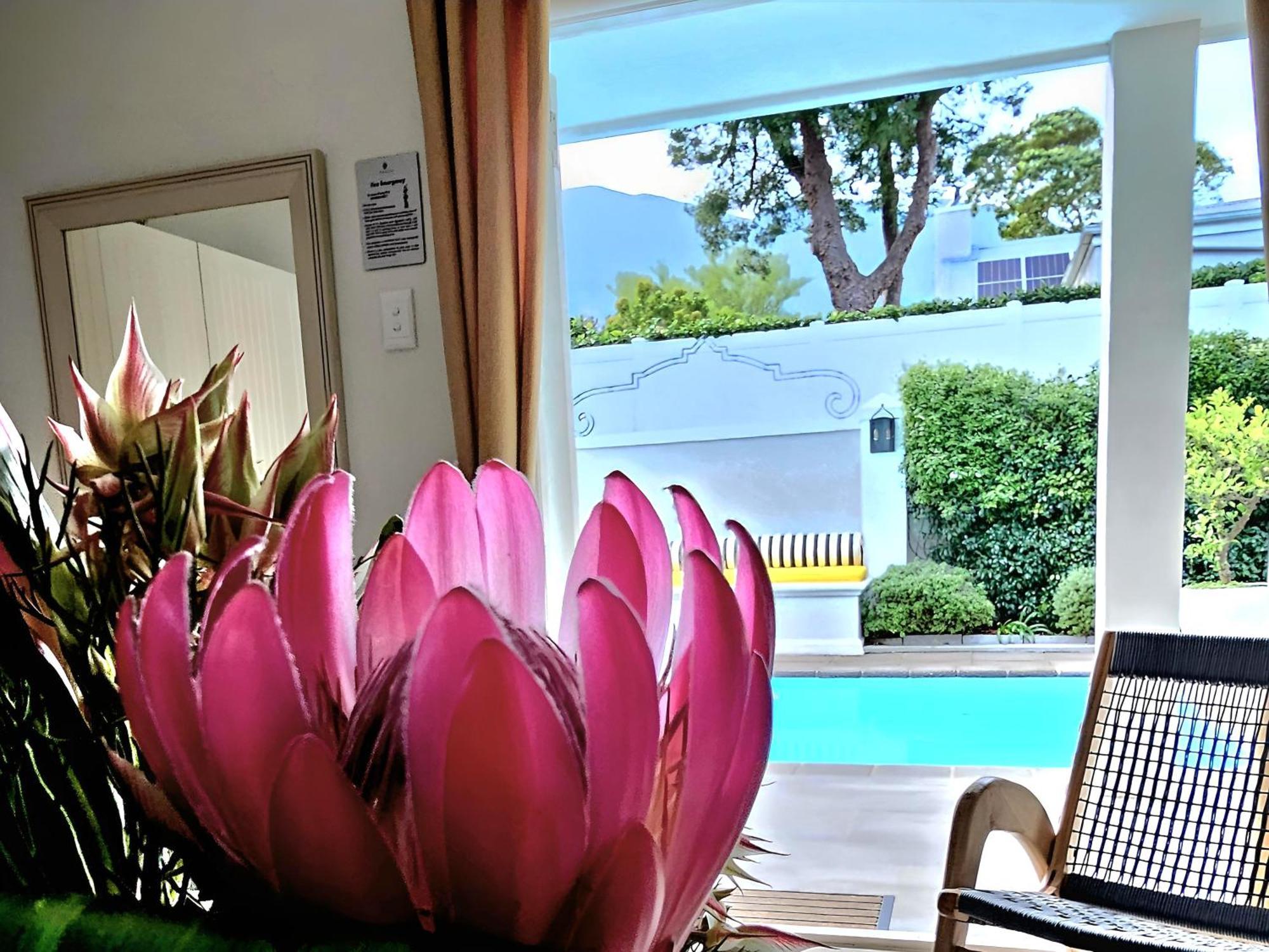 Fleur Du Soleil Luxury Guesthouse Франсхук Экстерьер фото